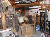 Albums/20060200-New Zealand 2006/20060210-Te Anau to Milford/38